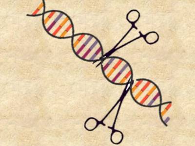 Génomique fonctionnelle CRISPR-Cas9