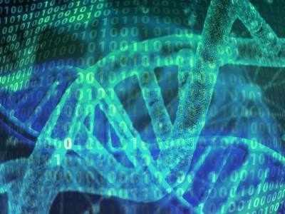 Plateforme d’analyse bioinformatique médicale de génomique haut débit de l’institut GIMI