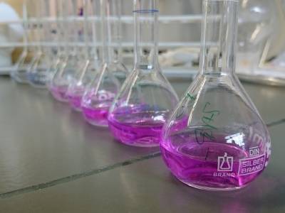 Chimie des métaux de transition :  modélisation, synthèse, caractérisation et réactivité en catalyse 