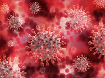 Infections virales, cancers et maladies inflammatoires: modifications épigénétiques, traitements