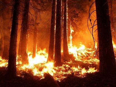 Le fonctionnement des géo-systèmes : feux et incendies de végétation