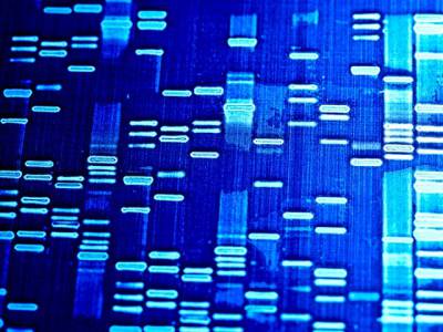 Etude de la génétique liée aux anomalies du développement, diagnostic et prise en charge
