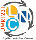 Lipides, Nutrition, Cancer / UMR 1231
